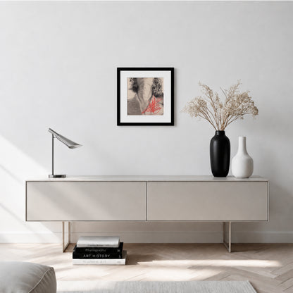 Soffermati - Framed Fine Art Print